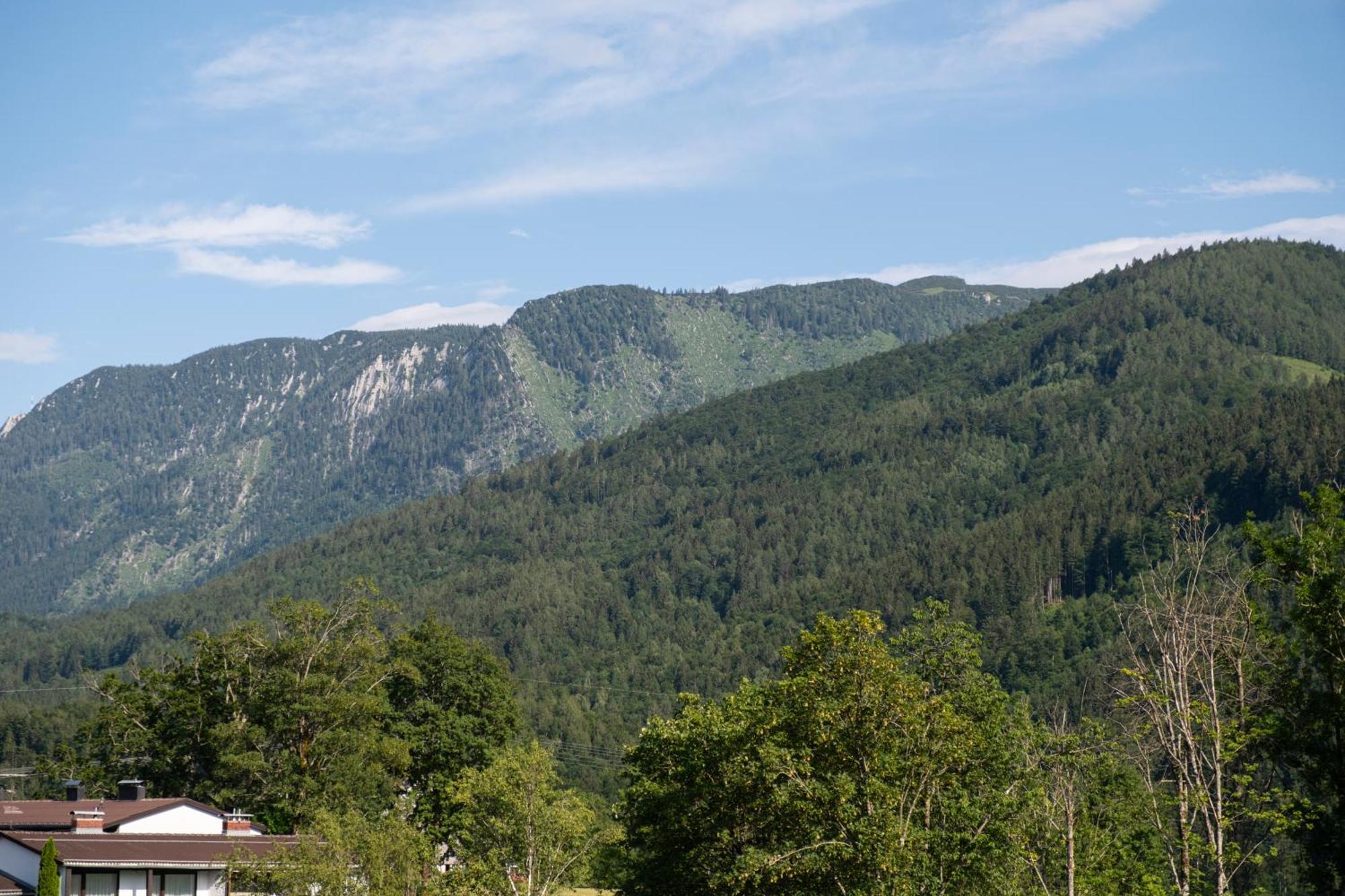 Suite Apartment Modern Getaway - Neu Renoviert - Strobl Am Wolfgangsee Eksteriør bilde